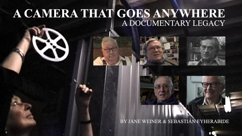 Documentary Title